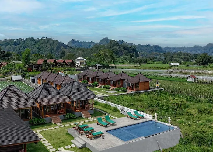 D Sila's Tepi Danu & Natural Hot Spring ロッジ Kintamani